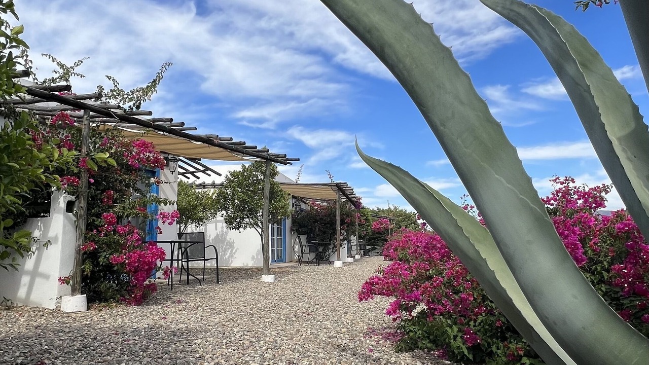 Photo of Outdoor in Valle de Guadalupe