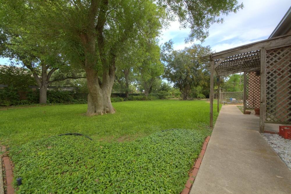 Photo of Outdoor in Harlingen