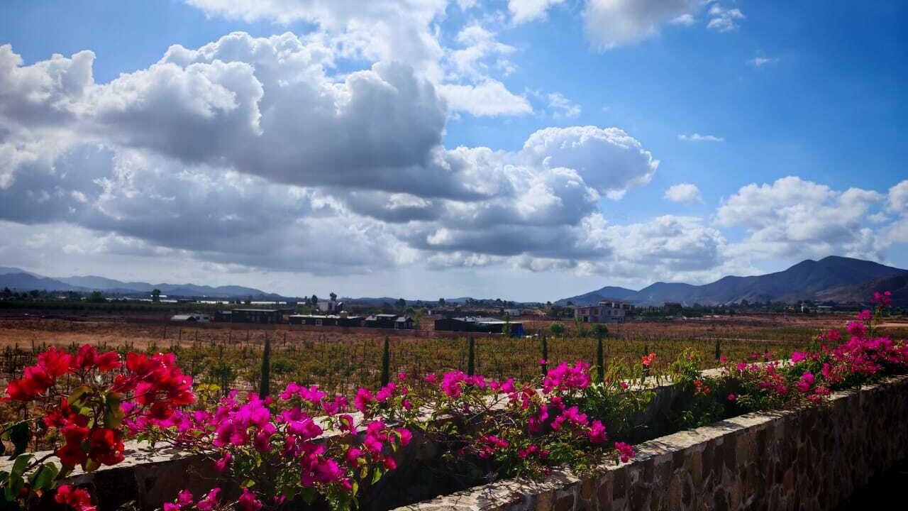 Photo of Outdoor in Valle de Guadalupe