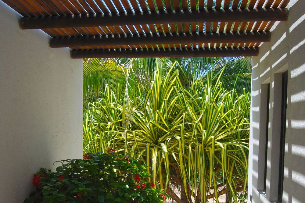 Photo of Outdoor in Puerto Escondido