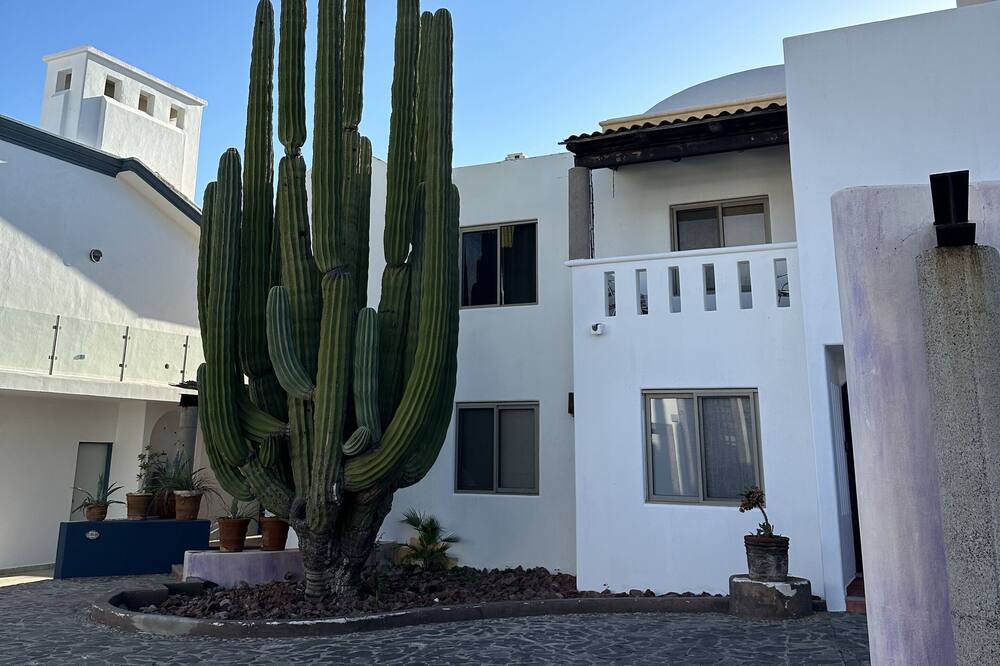 Photo of Outdoor in San Carlos