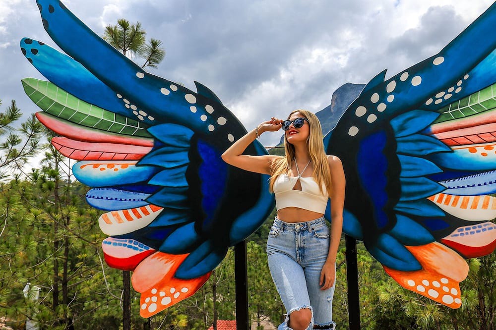 Photo of Outdoor in Monterrey