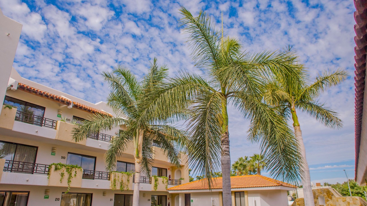 Photo of Outdoor in Downtown Cabo San Lucas