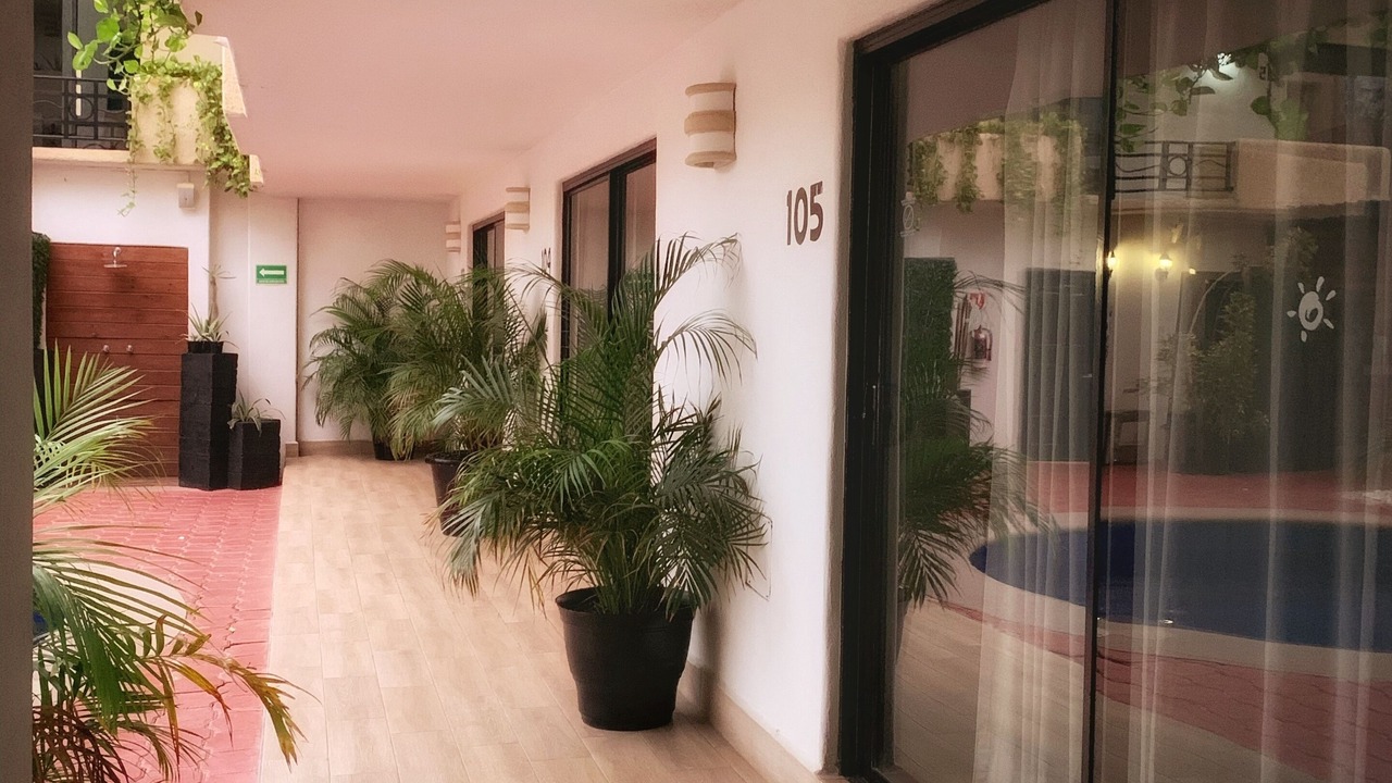 Photo of Outdoor in Downtown Cabo San Lucas