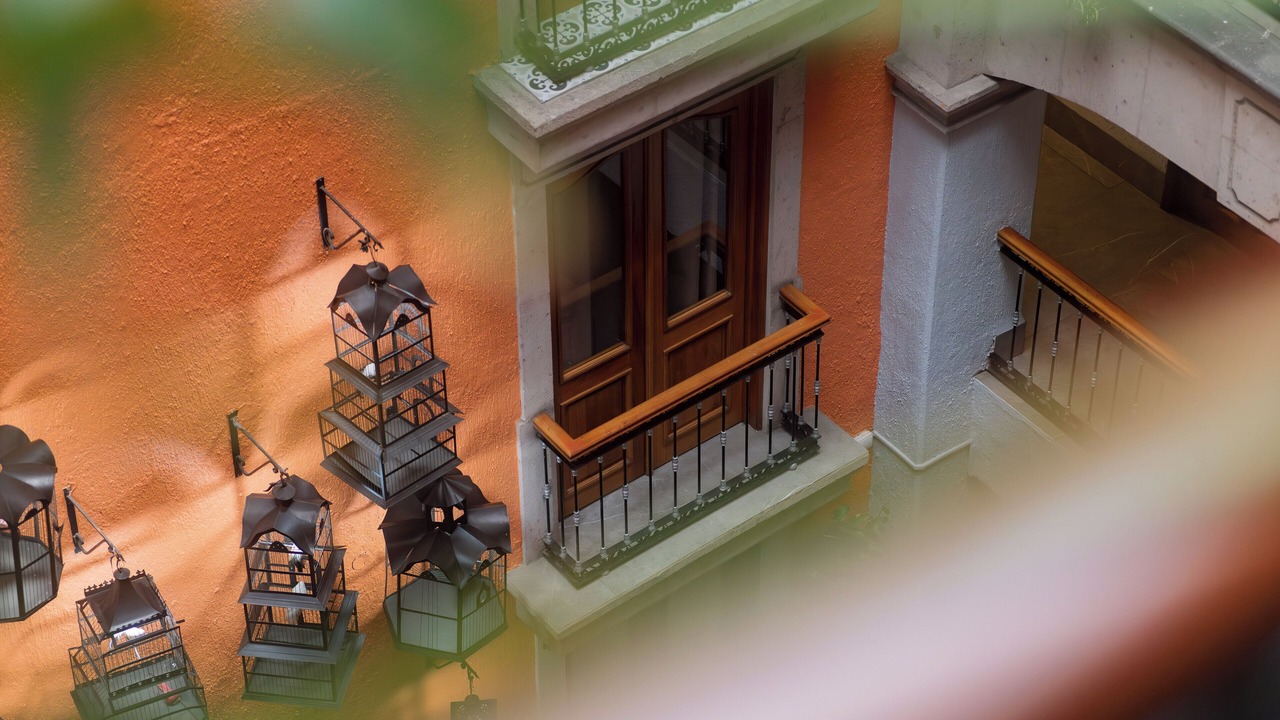 Photo of Others in Downtown Guadalajara