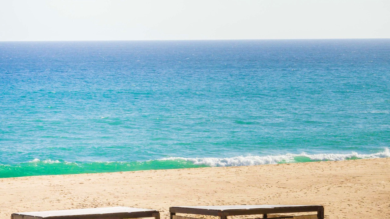 Photo of Others in Pedregal