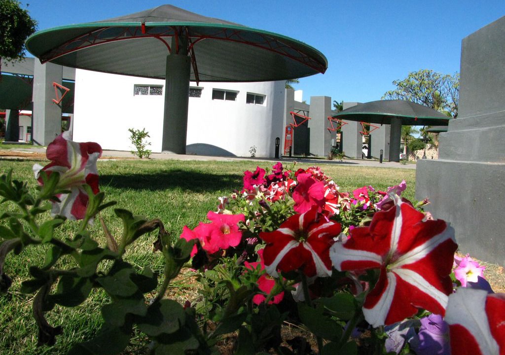 Photo of Others in Navojoa