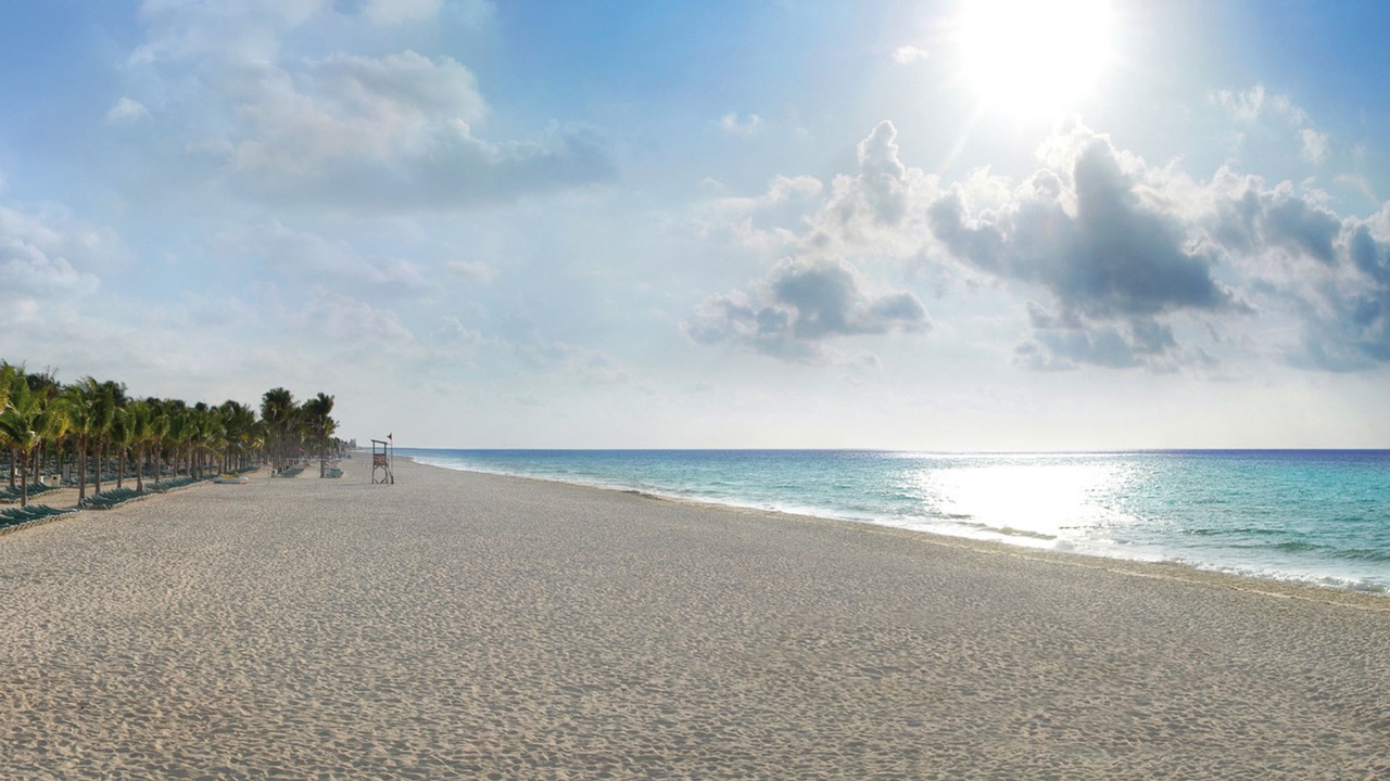 Photo of Others in Playacar