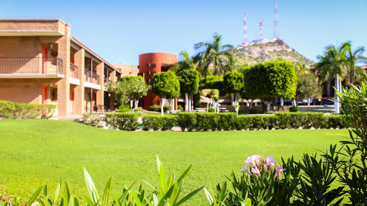 Photo of Outdoor in Hermosillo