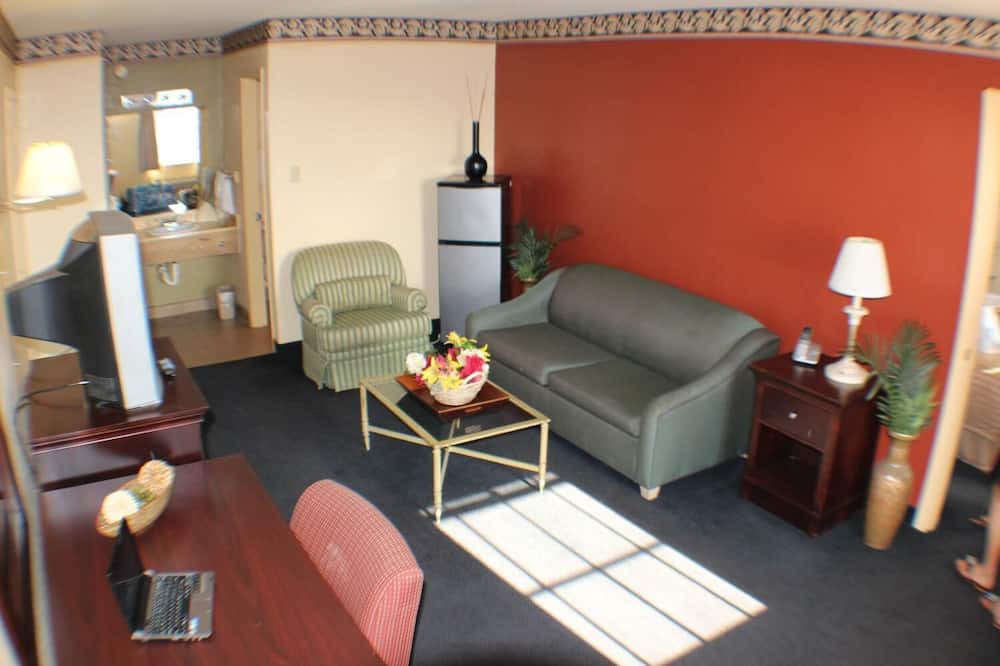 Photo of Livingroom in Harlingen