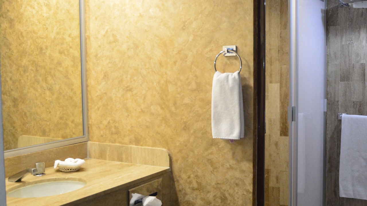 Photo of Bathroom in Gomez Palacio
