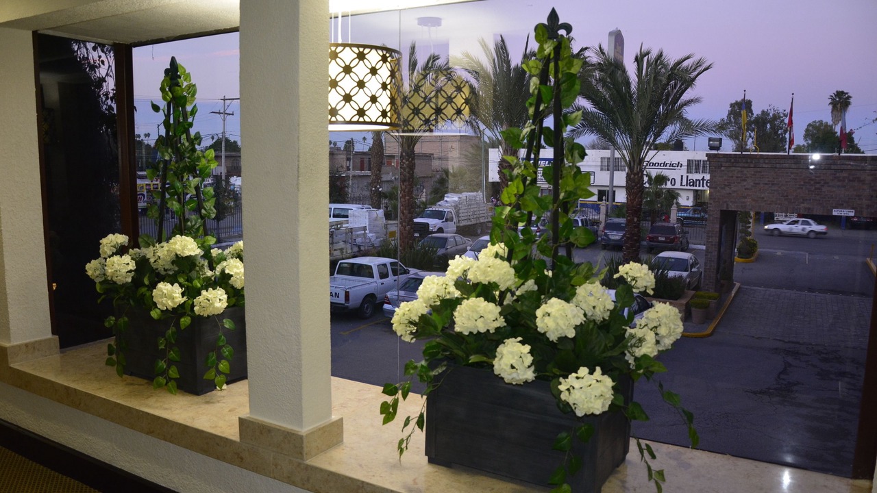 Photo of Others in Gomez Palacio