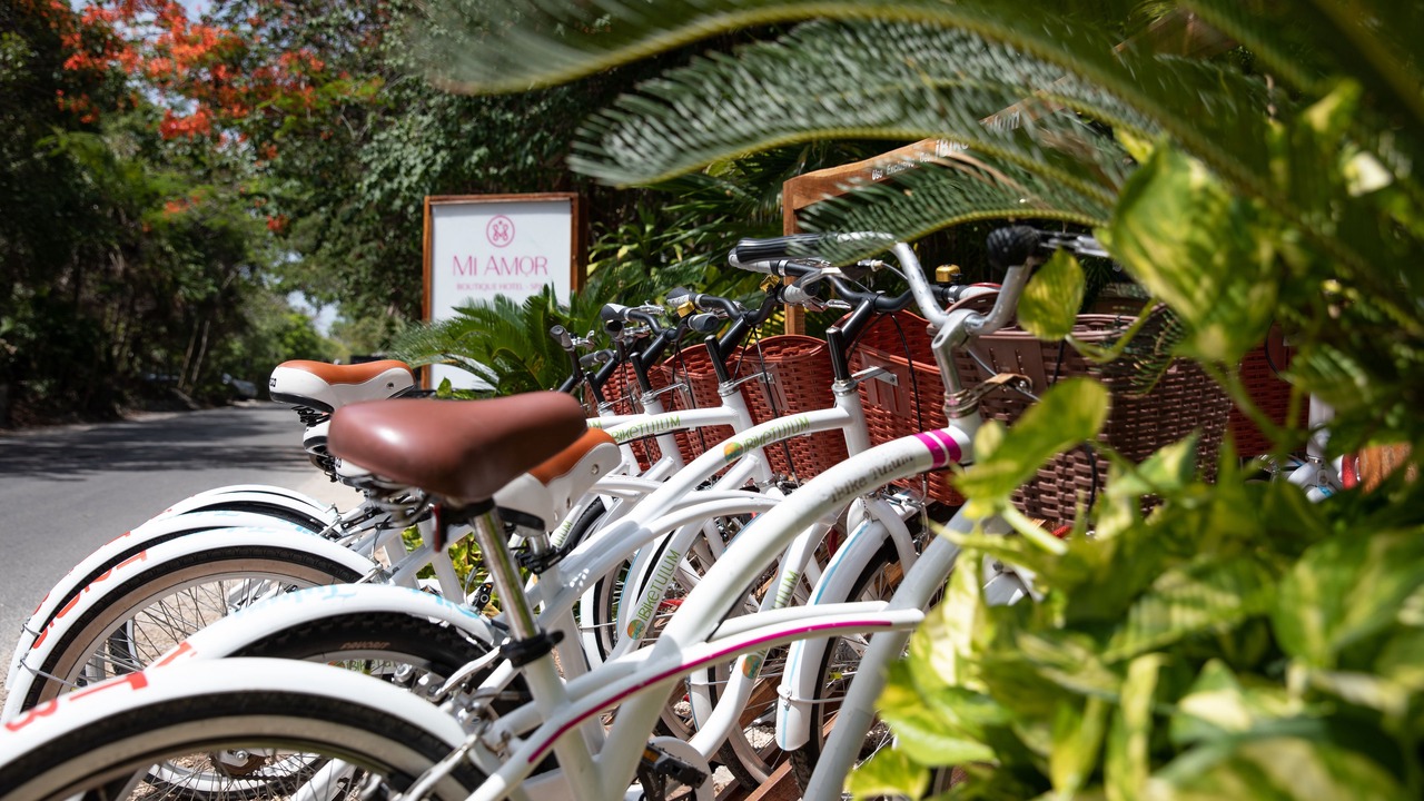 Photo of Outdoor in Playa Paraiso