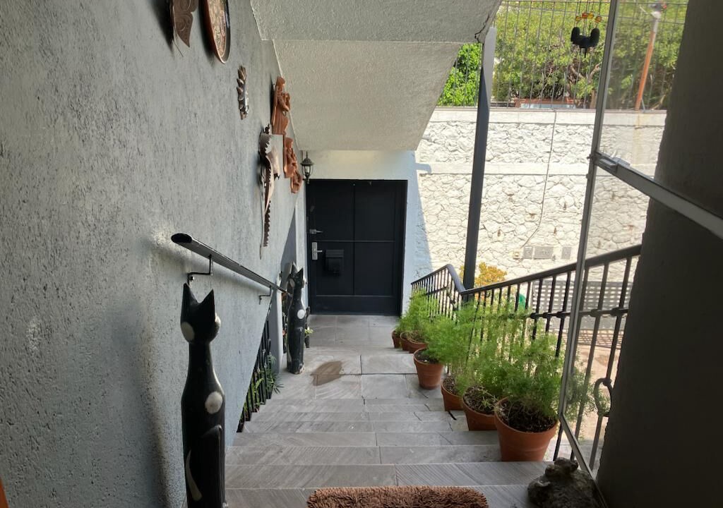 Photo of Others in Downtown Queretaro