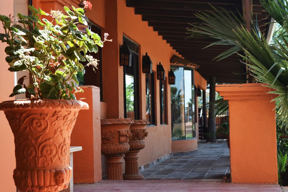 Photo of Others in Tecate