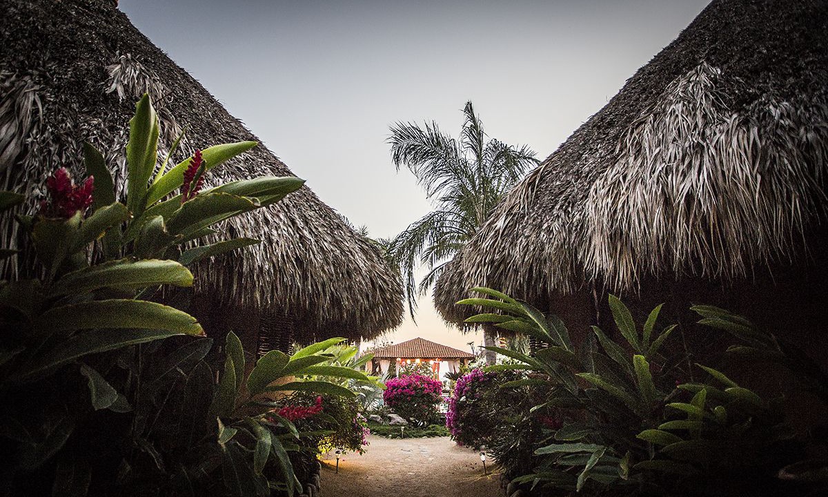 Photo of Outdoor in Troncones