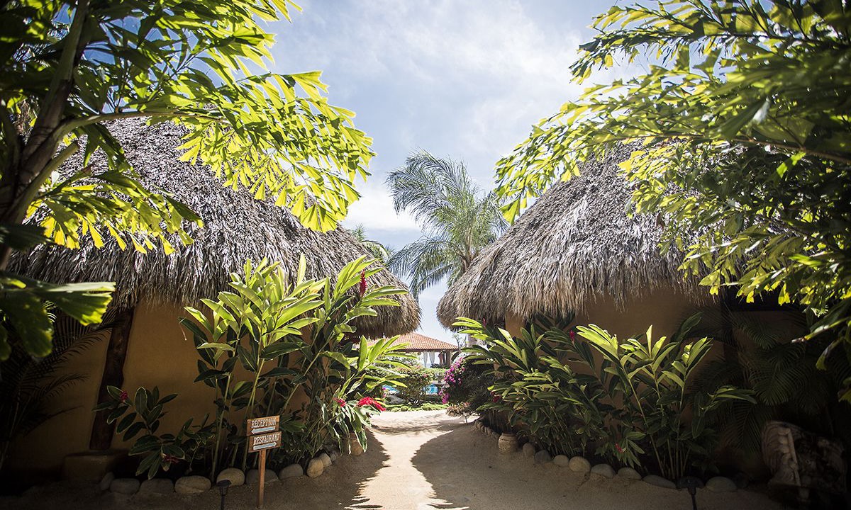 Photo of Outdoor in Troncones