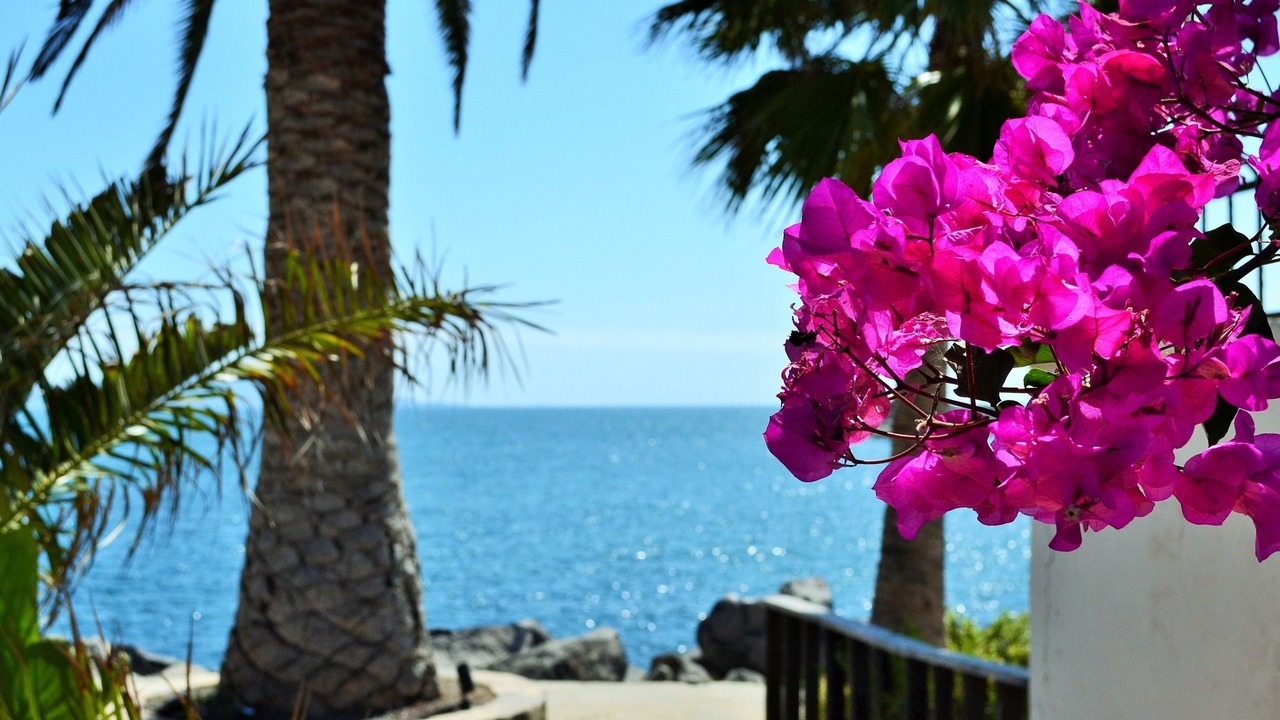 Photo of Outdoor in Ensenada