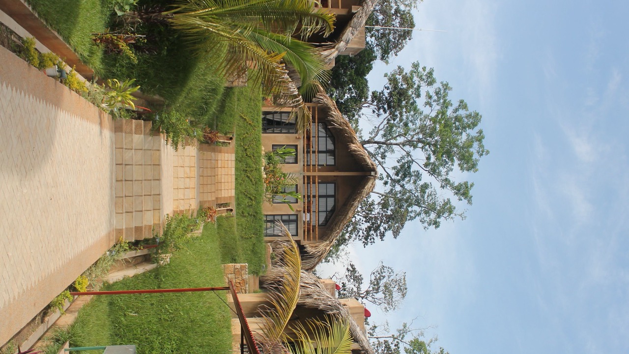 Photo of Outdoor in Palenque