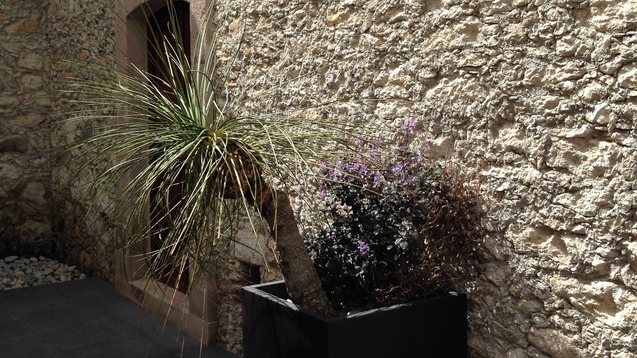 Photo of Outdoor in Bernal