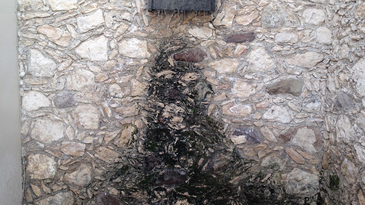 Photo of Outdoor in Bernal