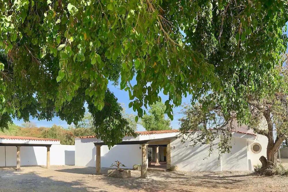 Photo of Outdoor in Ajijic
