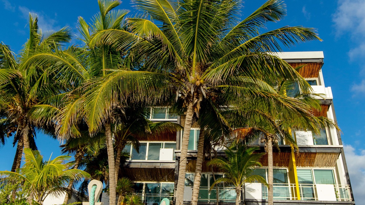 Photo of Outdoor in Puerto Morelos