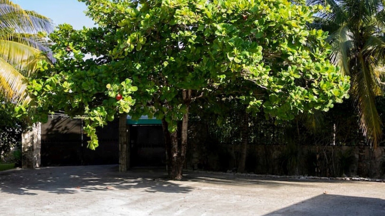 Photo of Outdoor in Alfredo V. Bonfil