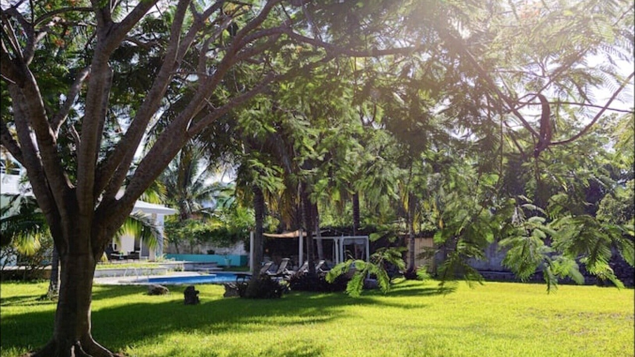 Photo of Outdoor in Alfredo V. Bonfil