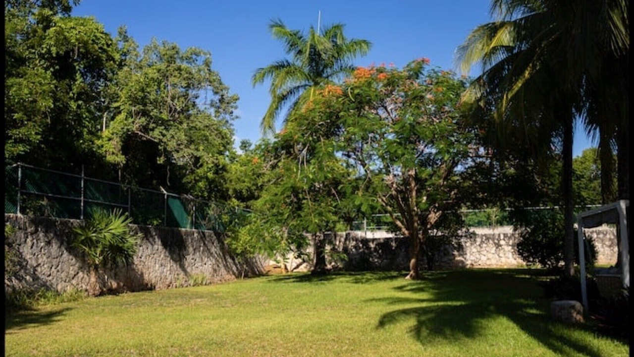 Photo of Outdoor in Alfredo V. Bonfil
