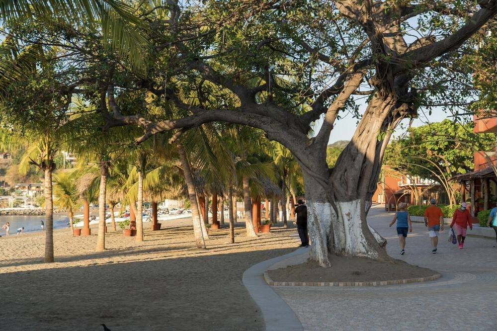 Photo of Outdoor in Playa la Madera