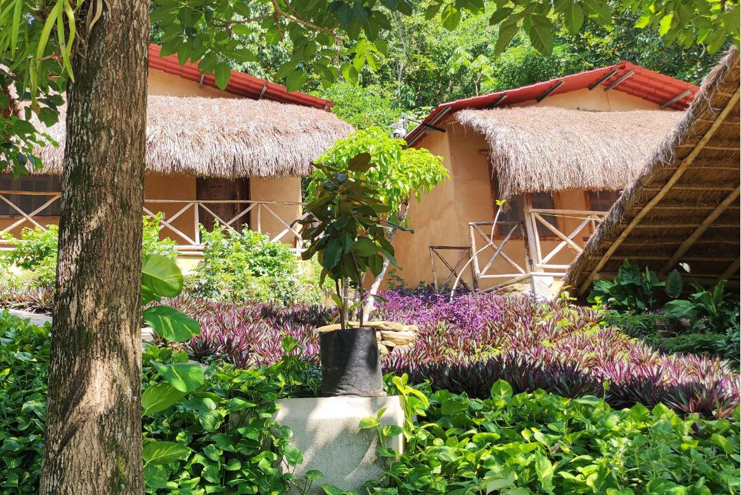 Photo of Outdoor in Huehuetlan