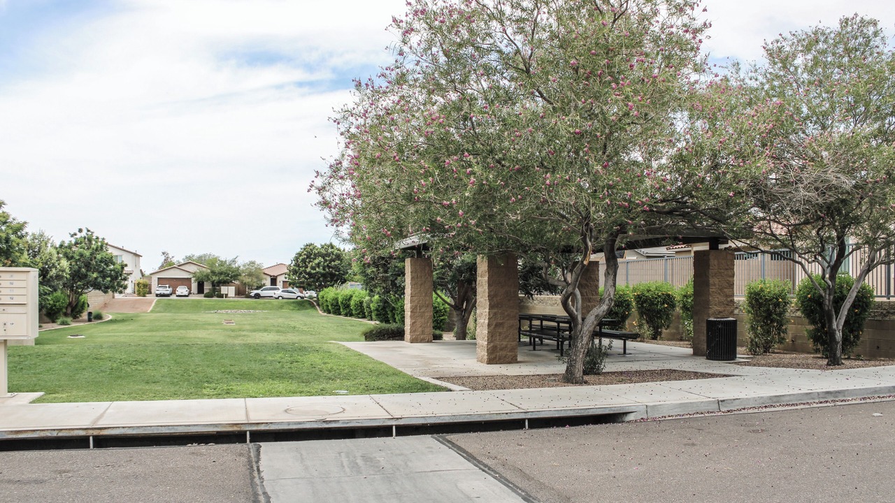 Photo of Outdoor in Maryvale