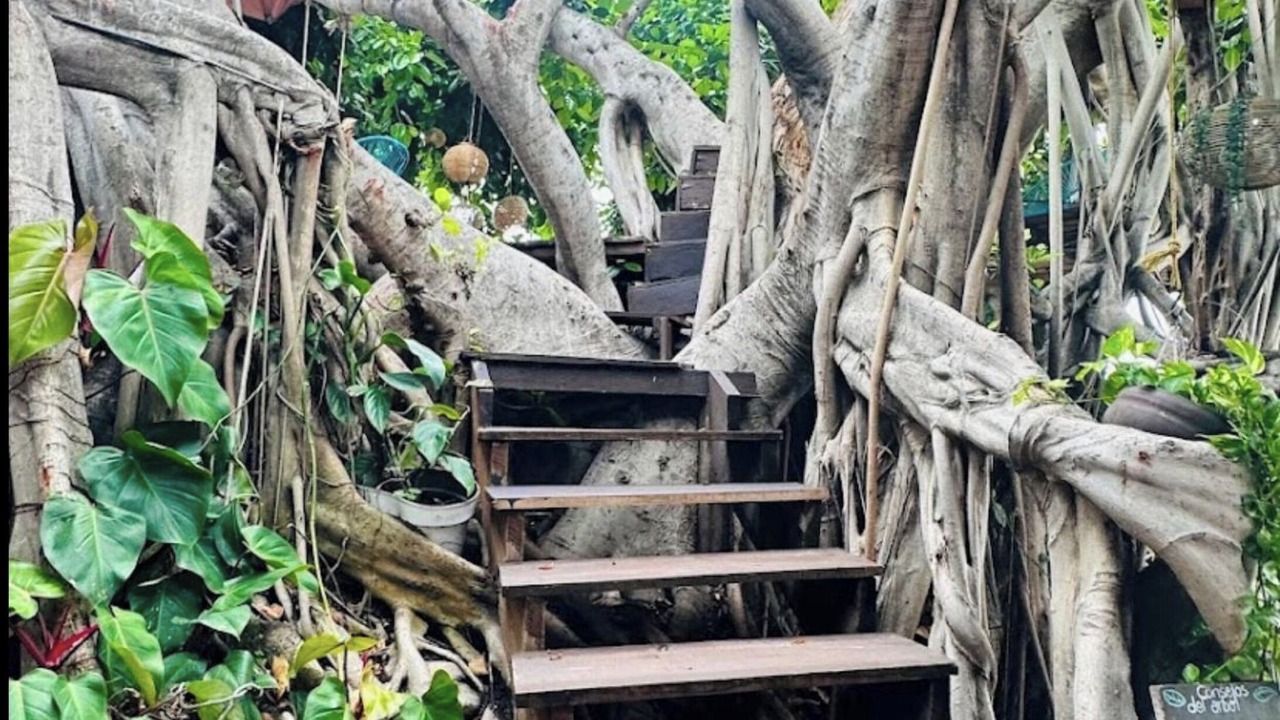 Photo of Outdoor in Pie de la Cuesta