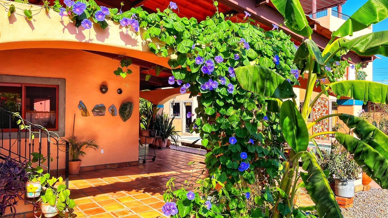 Photo of Outdoor in Loreto