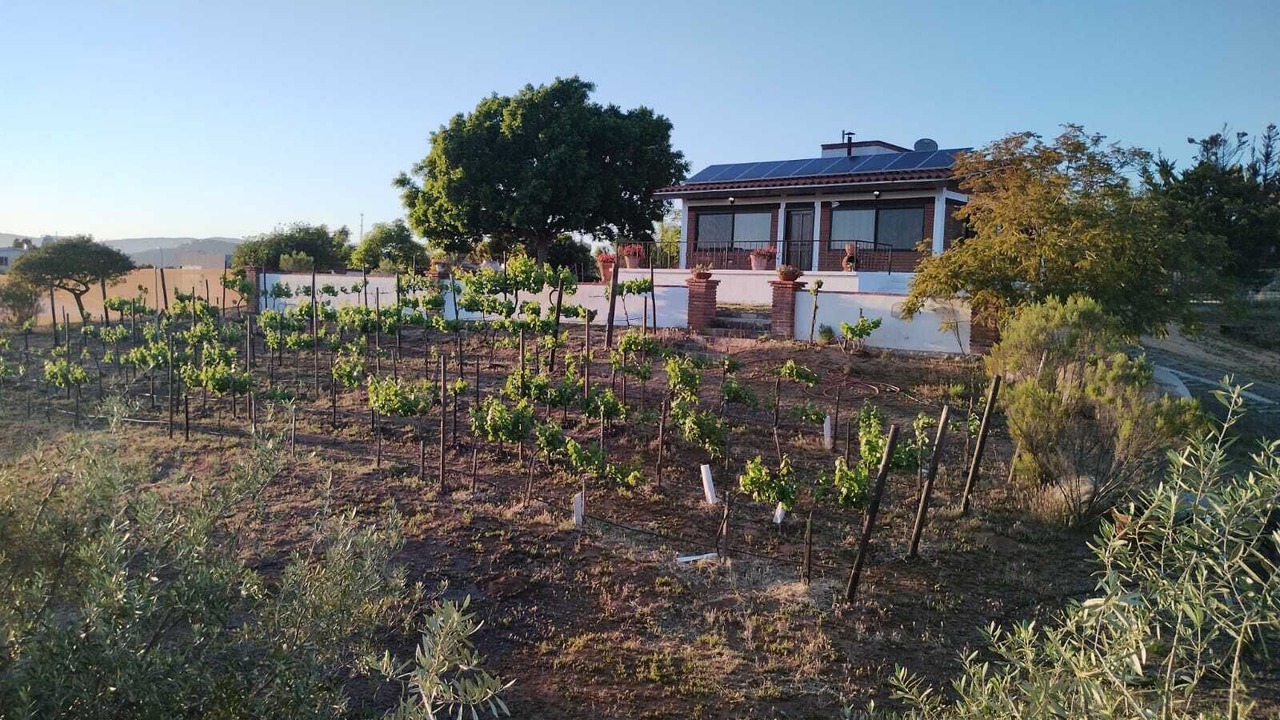 Photo of Outdoor in San Antonio de las Minas
