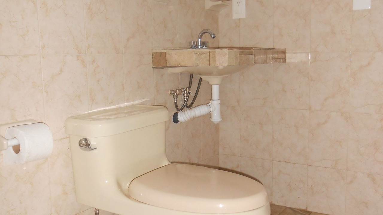 Photo of Bathroom in Palenque