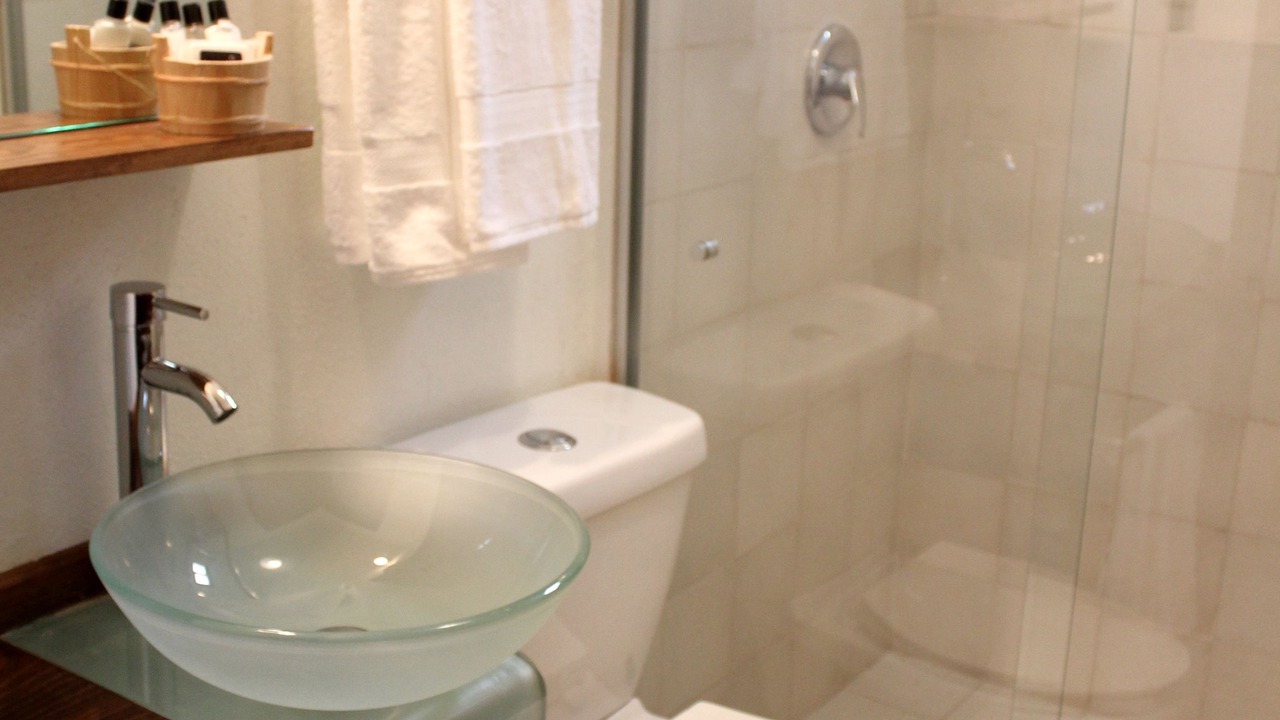 Photo of Bathroom in Leon