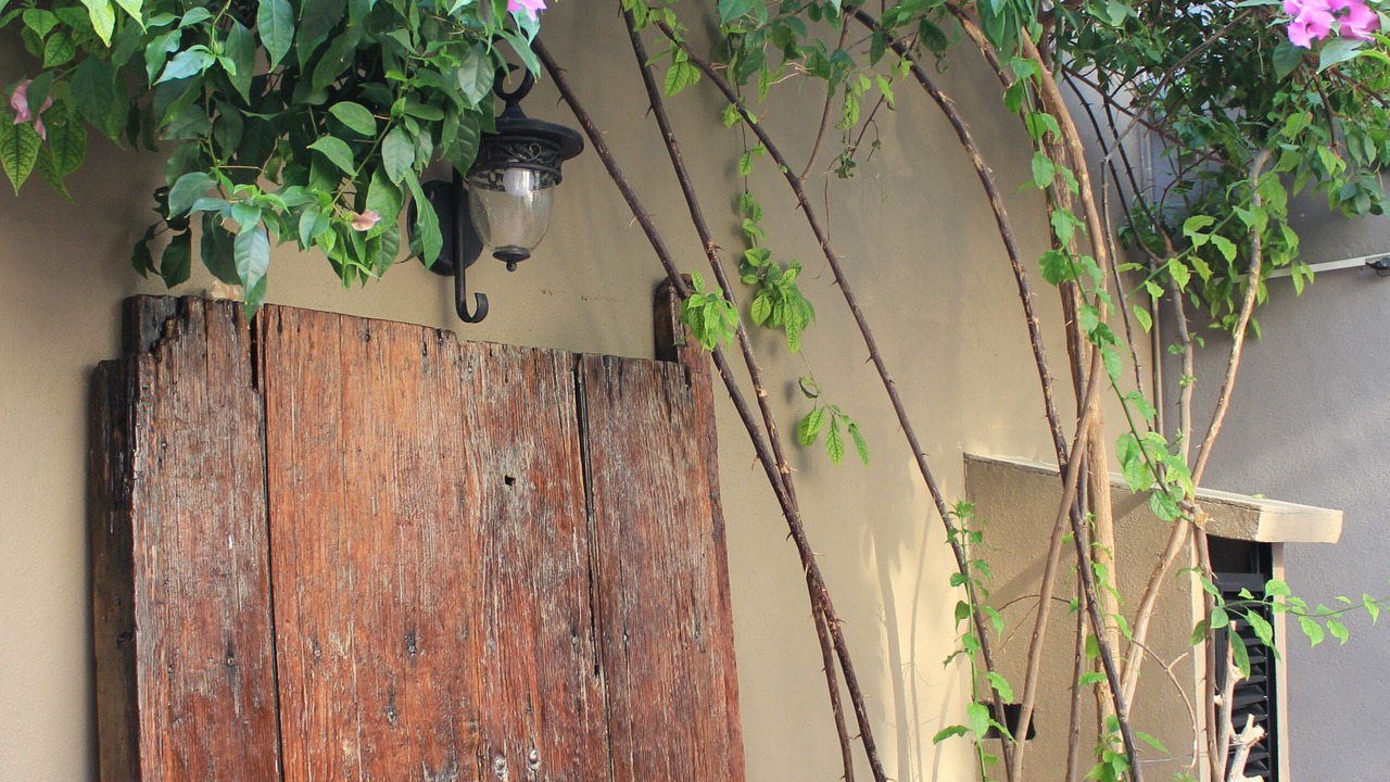 Photo of Patio Balcony in Leon
