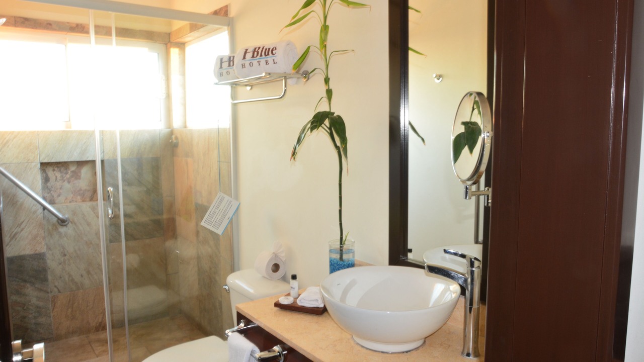 Photo of Bathroom in La Paz