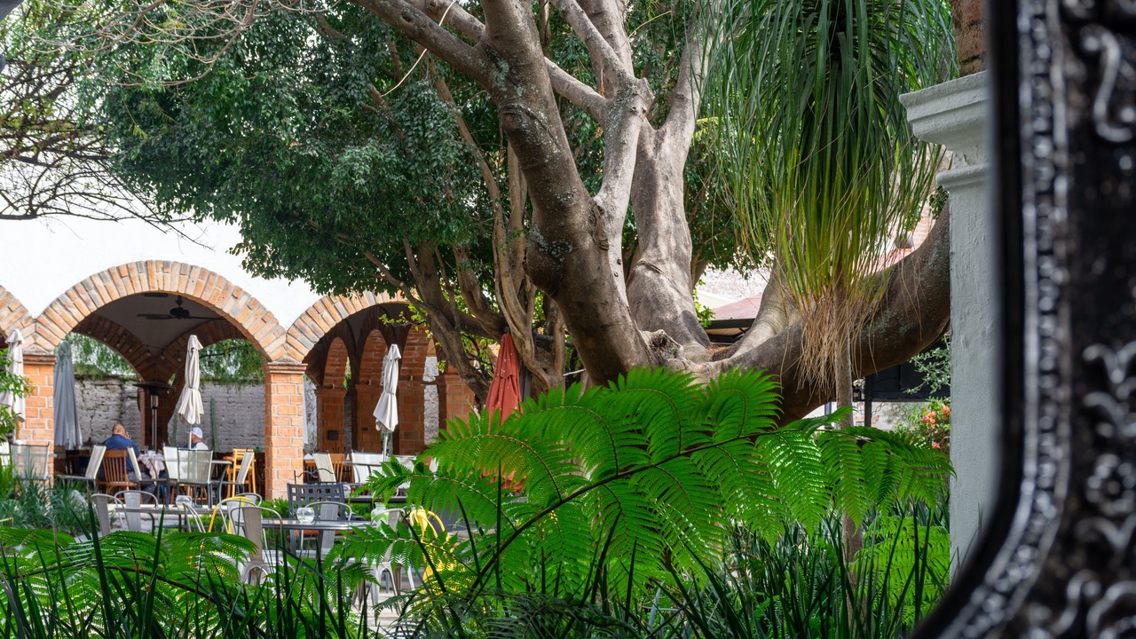 Photo of Outdoor in San Francisco del Rincon