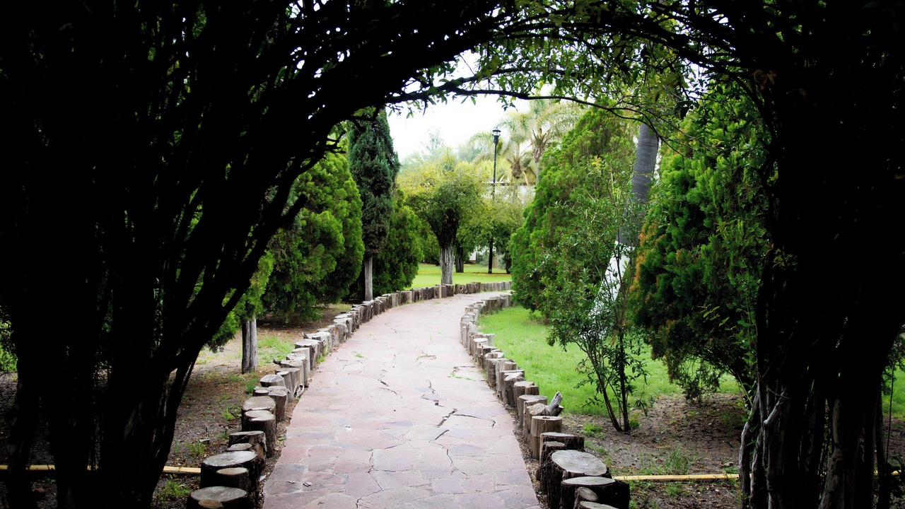 Photo of Outdoor in San Isidro del Llanito
