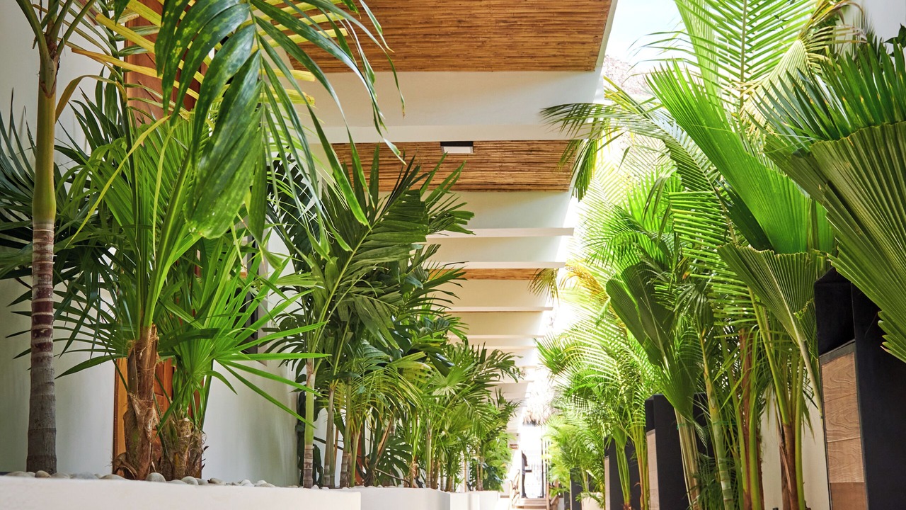 Photo of Outdoor in Centro