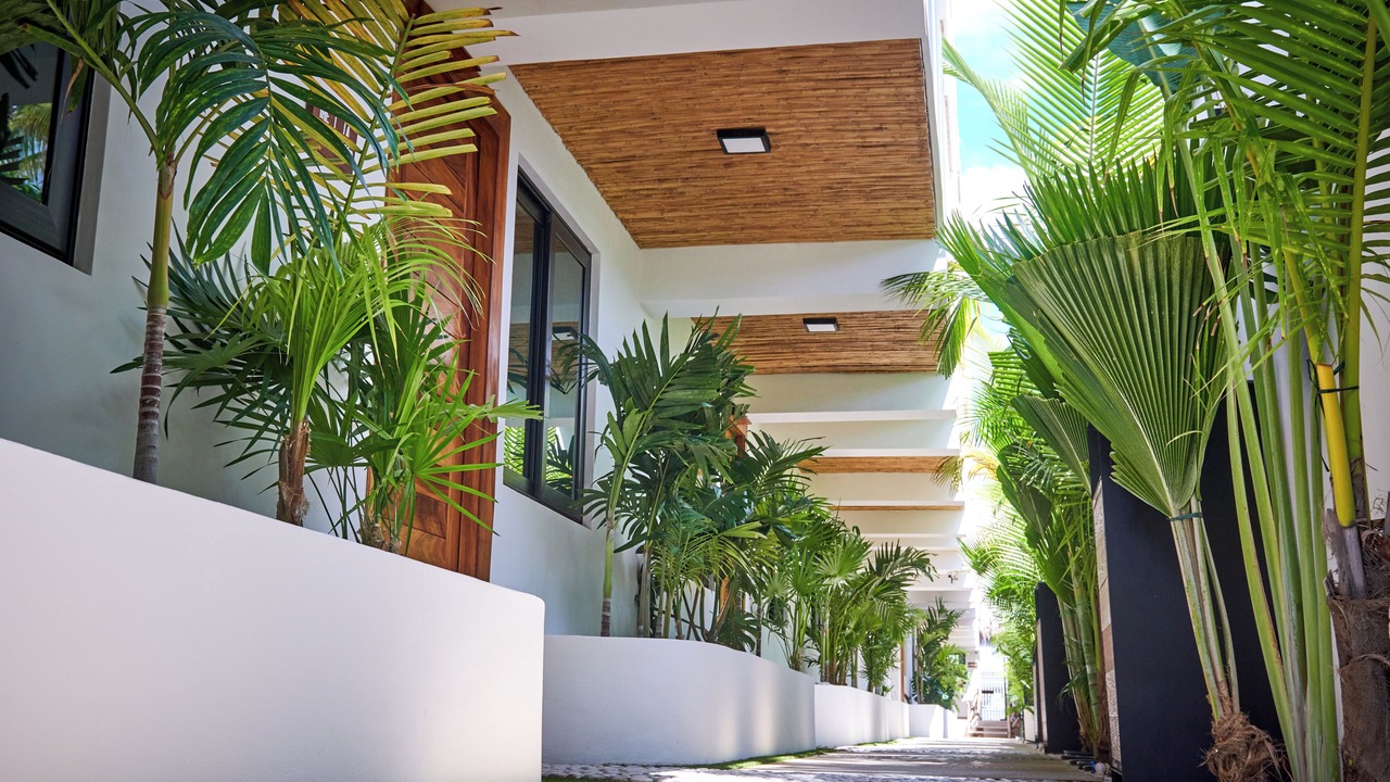 Photo of Outdoor in Centro