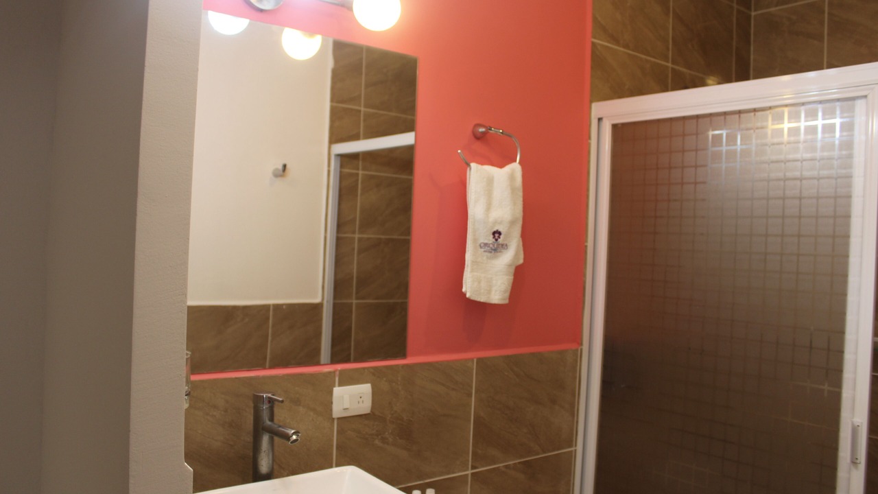 Photo of Bathroom in Coatepec