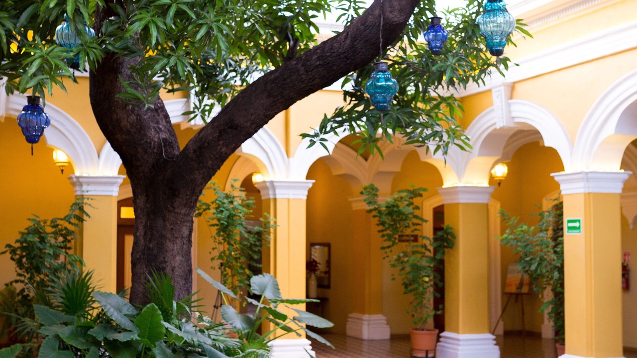 Photo of Outdoor in Centro