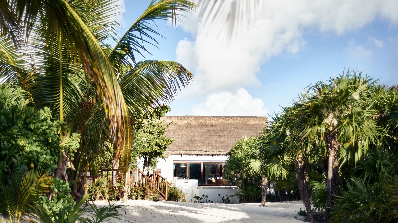 Photo of Outdoor in Punta Allen
