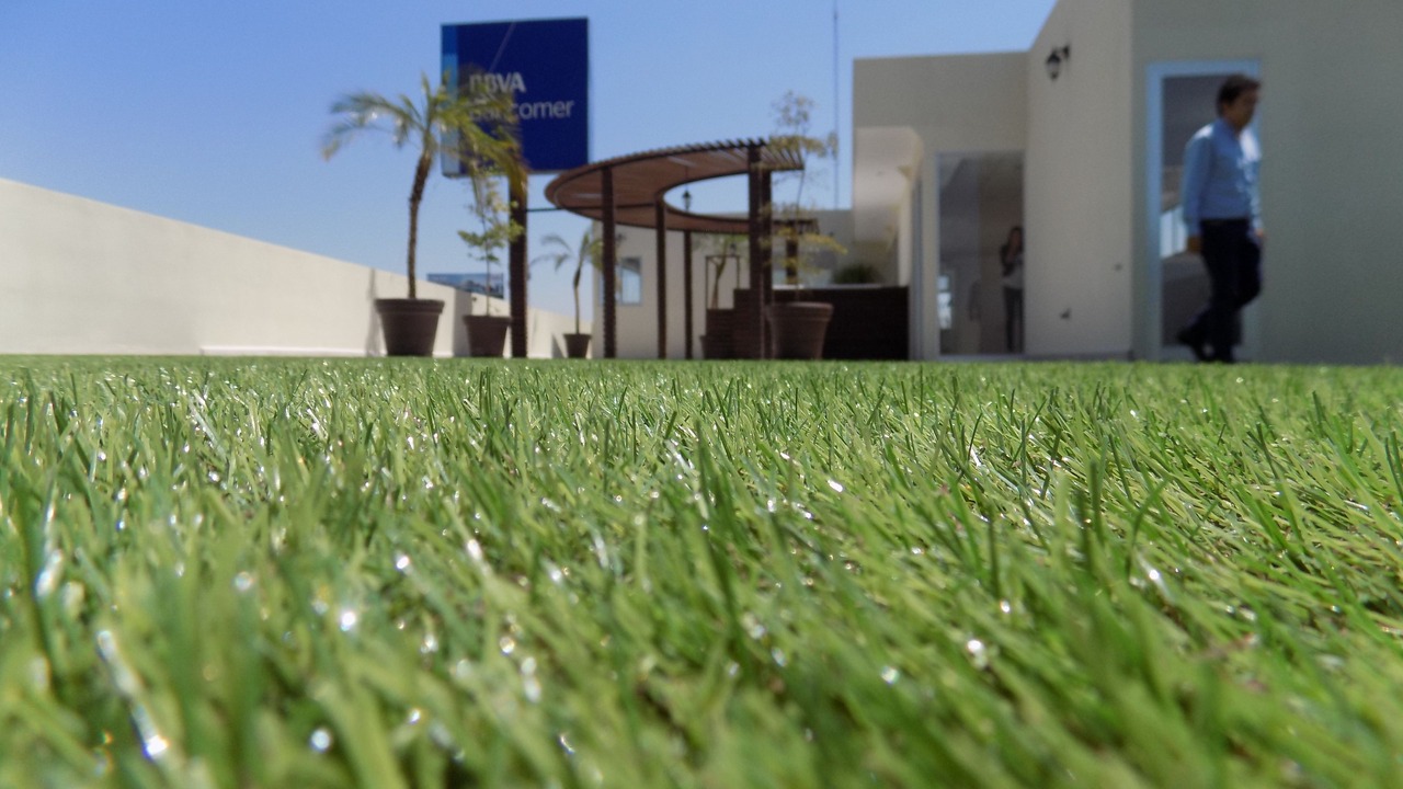 Photo of Outdoor in Celaya
