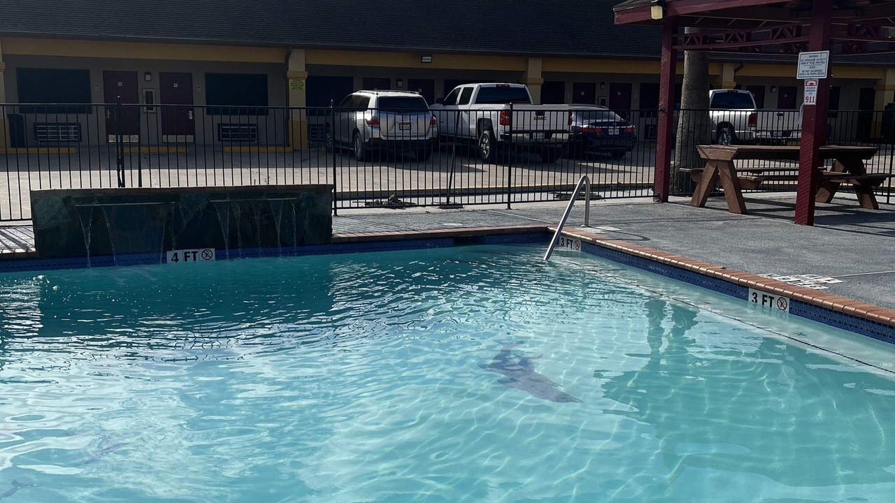 Photo of Outdoor in Los Fresnos
