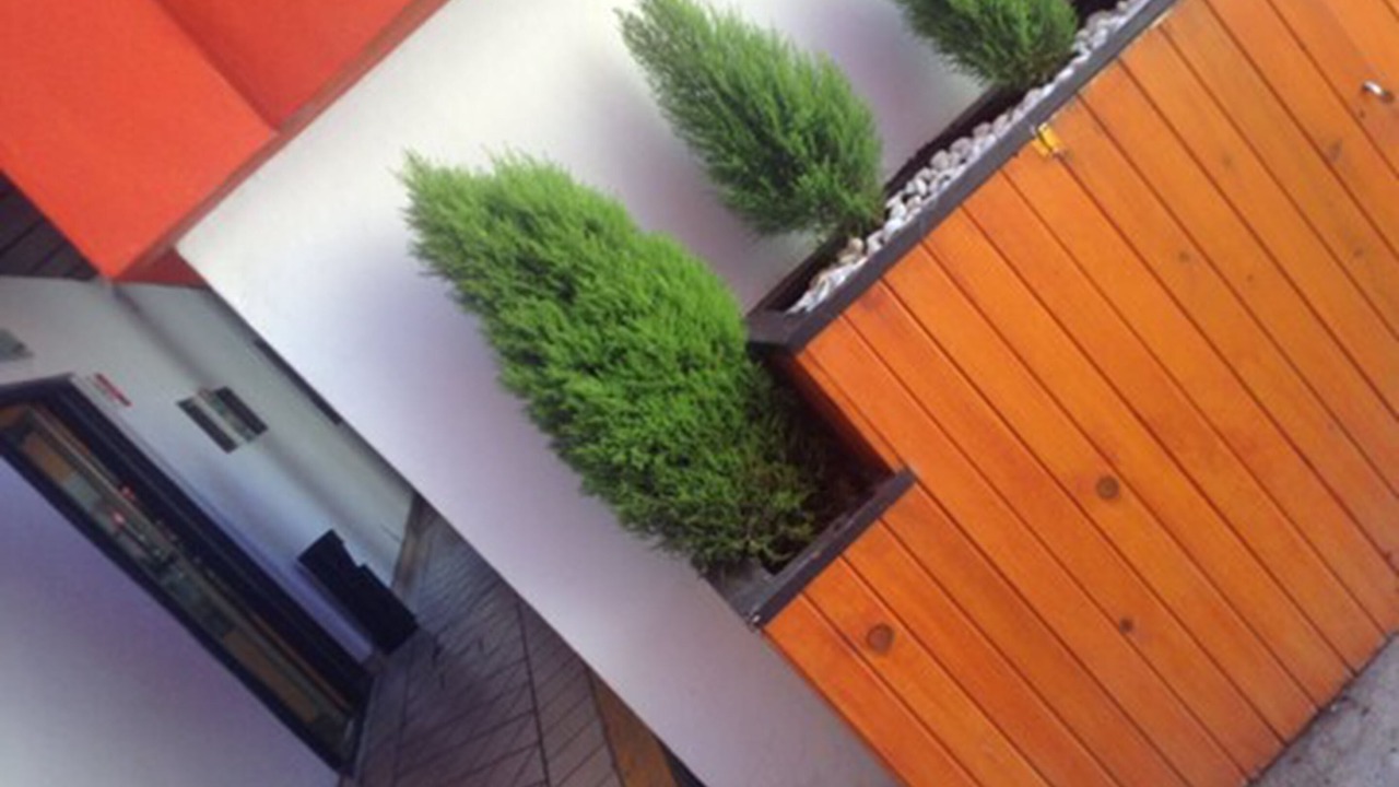 Photo of Outdoor in Zona Centro